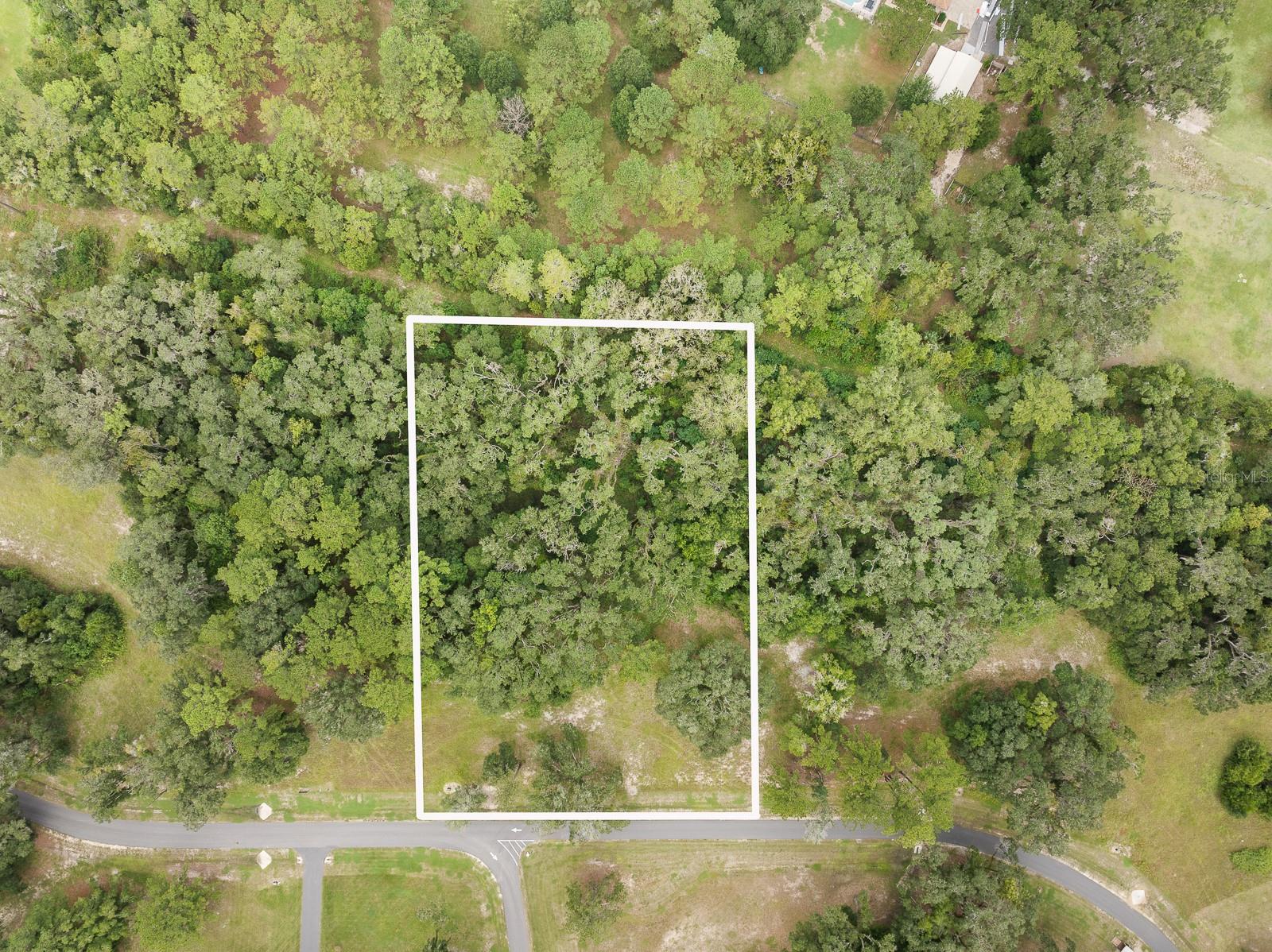 Image 6 of 14 For 17520 11 Court