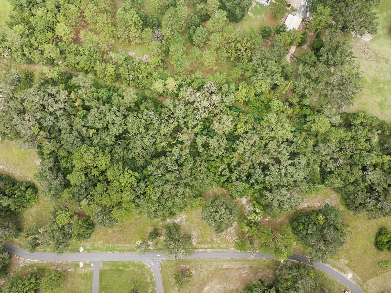 Image 9 of 14 For 17520 11 Court