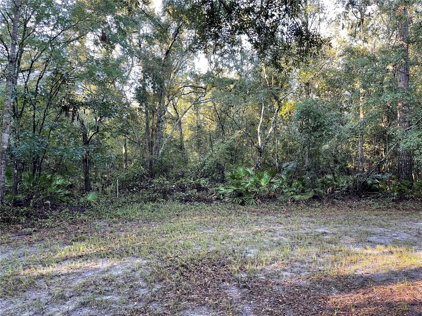 Details for Tbd 188th Place, MC ALPIN, FL 32062