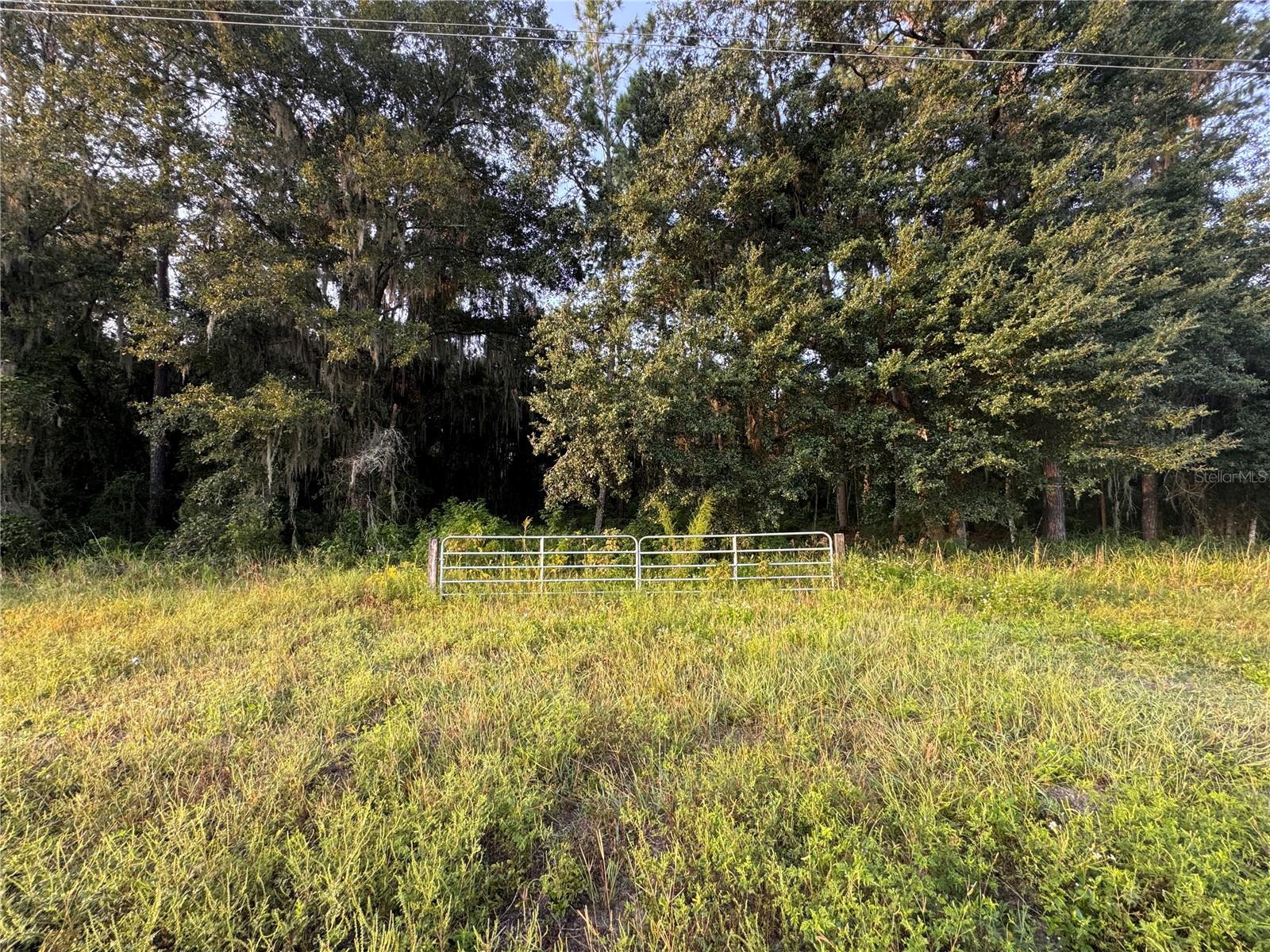 Details for Hawthorne Road, GAINESVILLE, FL 32641