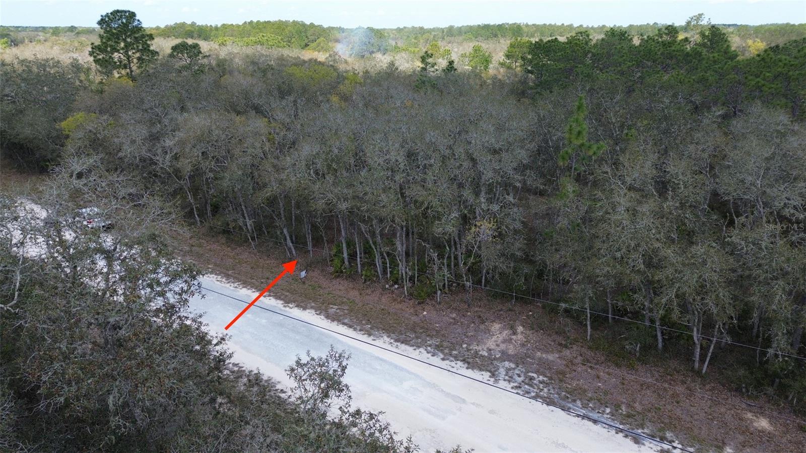 Details for Tbd Manuel  , WEBSTER, FL 33597