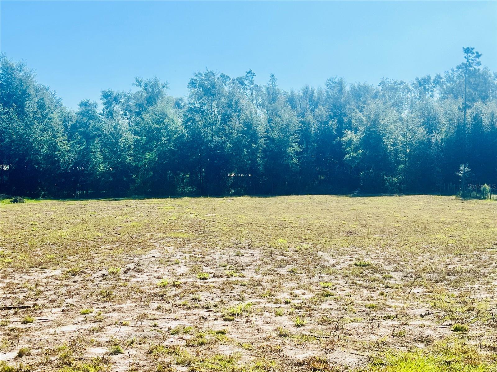 Listing Details for Tbd River Road, LIVE OAK, FL 32060