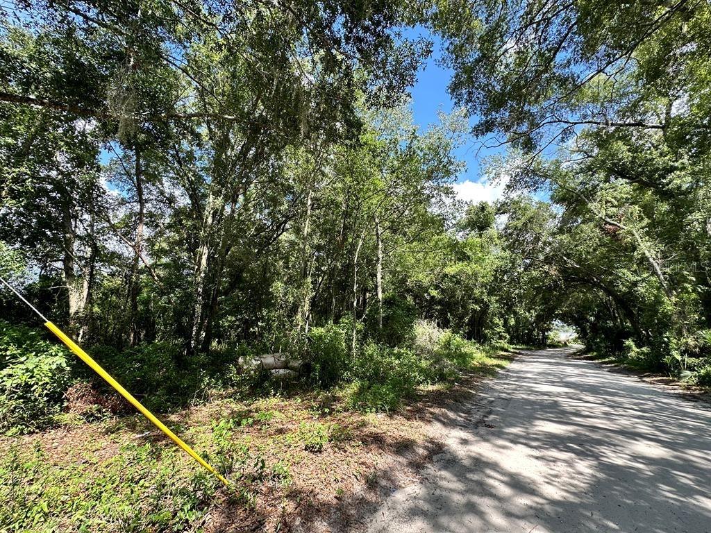 Details for  11th Drive  , CHIEFLAND, FL 32626