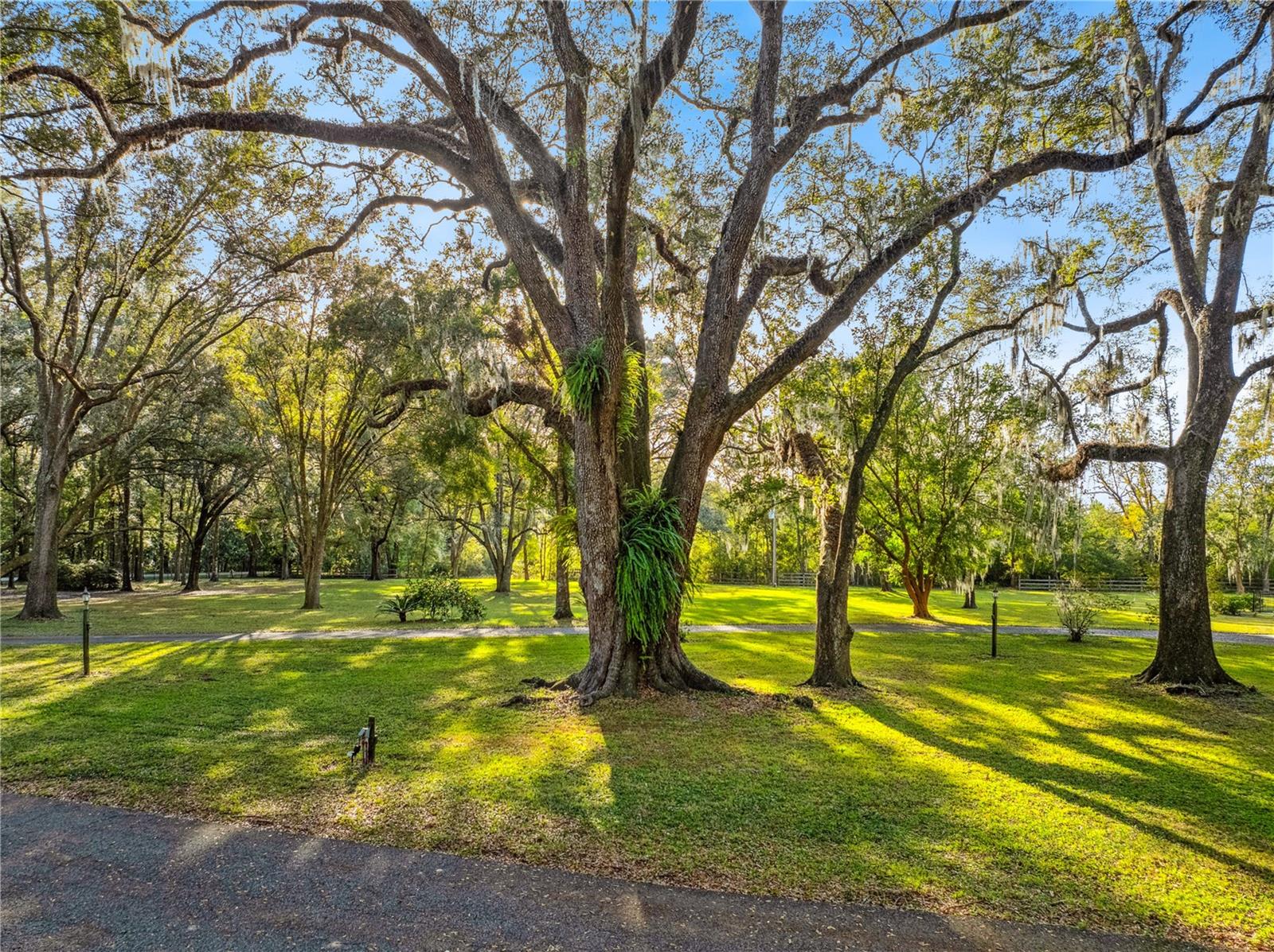 Image 60 of 62 For 17306 78th Avenue