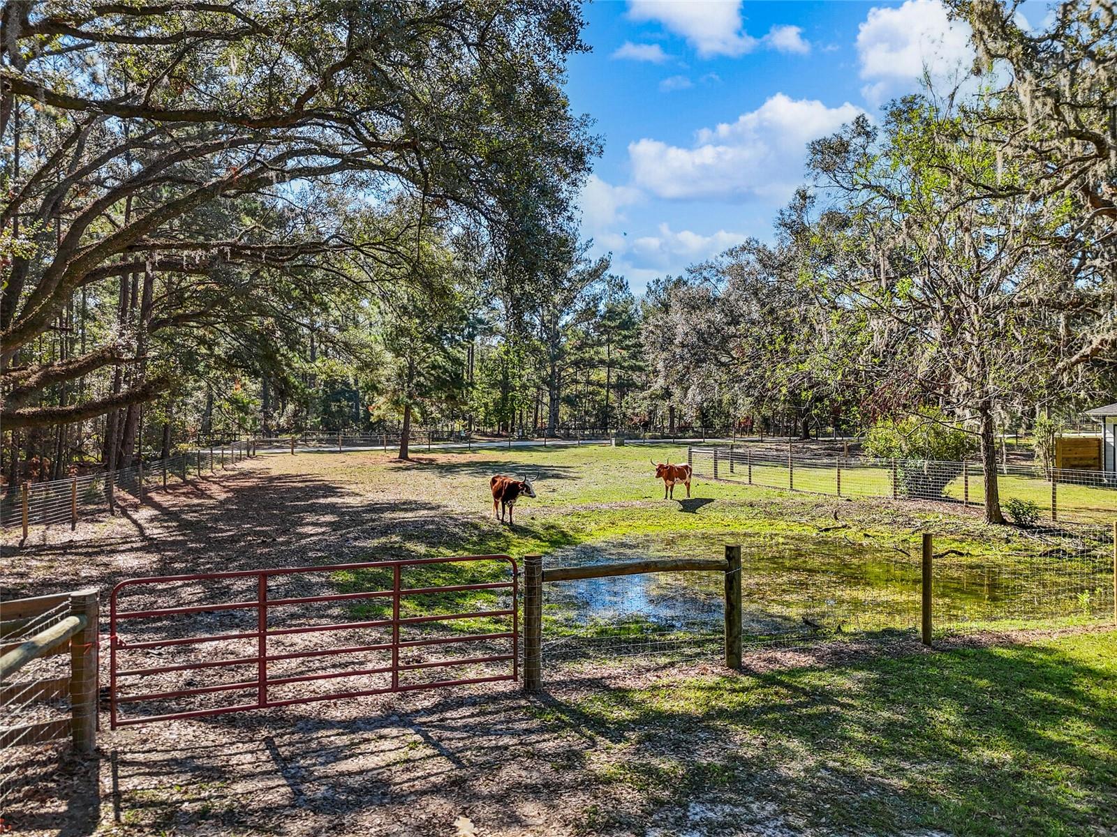 Image 46 of 50 For 12301 158th Terrace