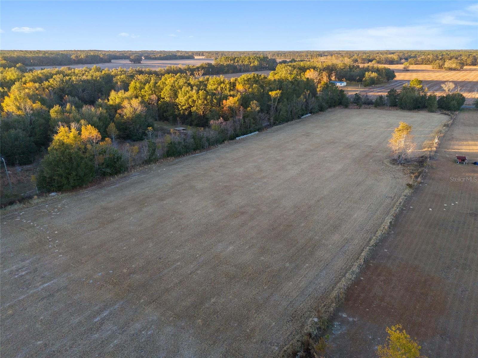 Image 14 of 18 For  46th Avenue 
