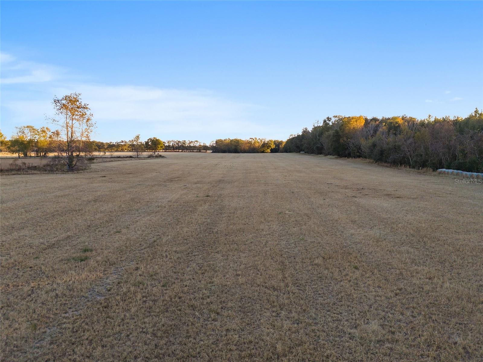Image 15 of 18 For  46th Avenue 
