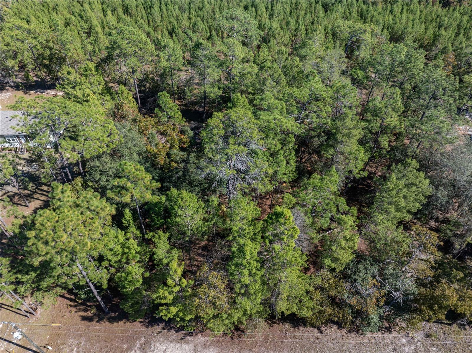 Image 36 of 39 For 221 Magnolia Road