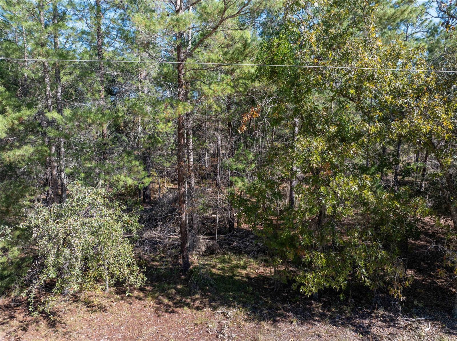 Image 37 of 39 For 221 Magnolia Road