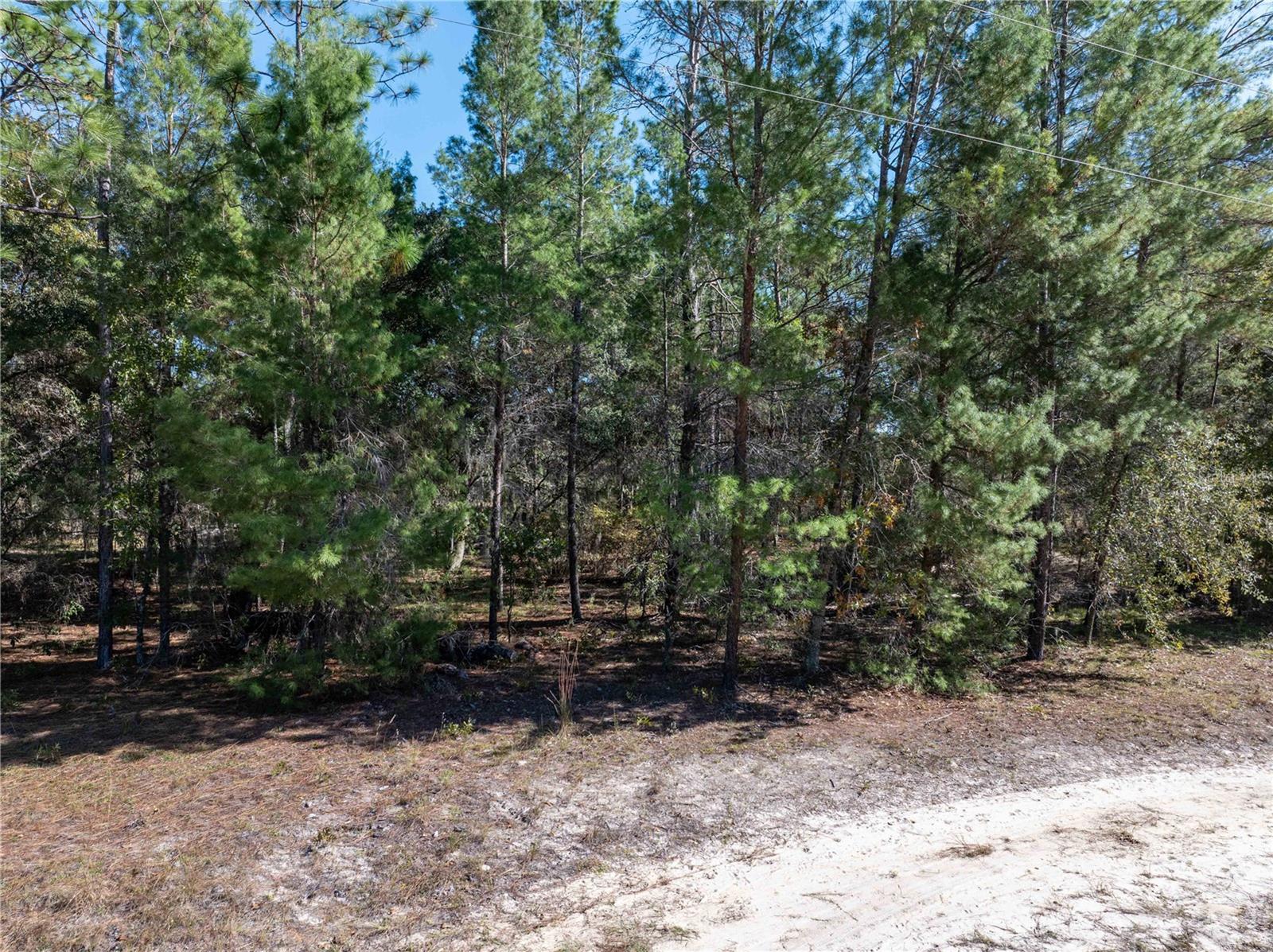 Image 38 of 39 For 221 Magnolia Road