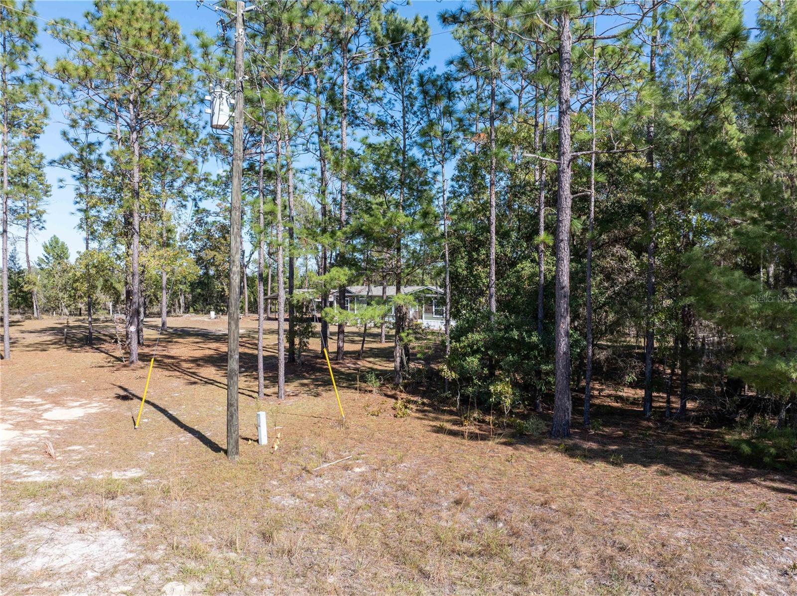 Image 39 of 39 For 221 Magnolia Road