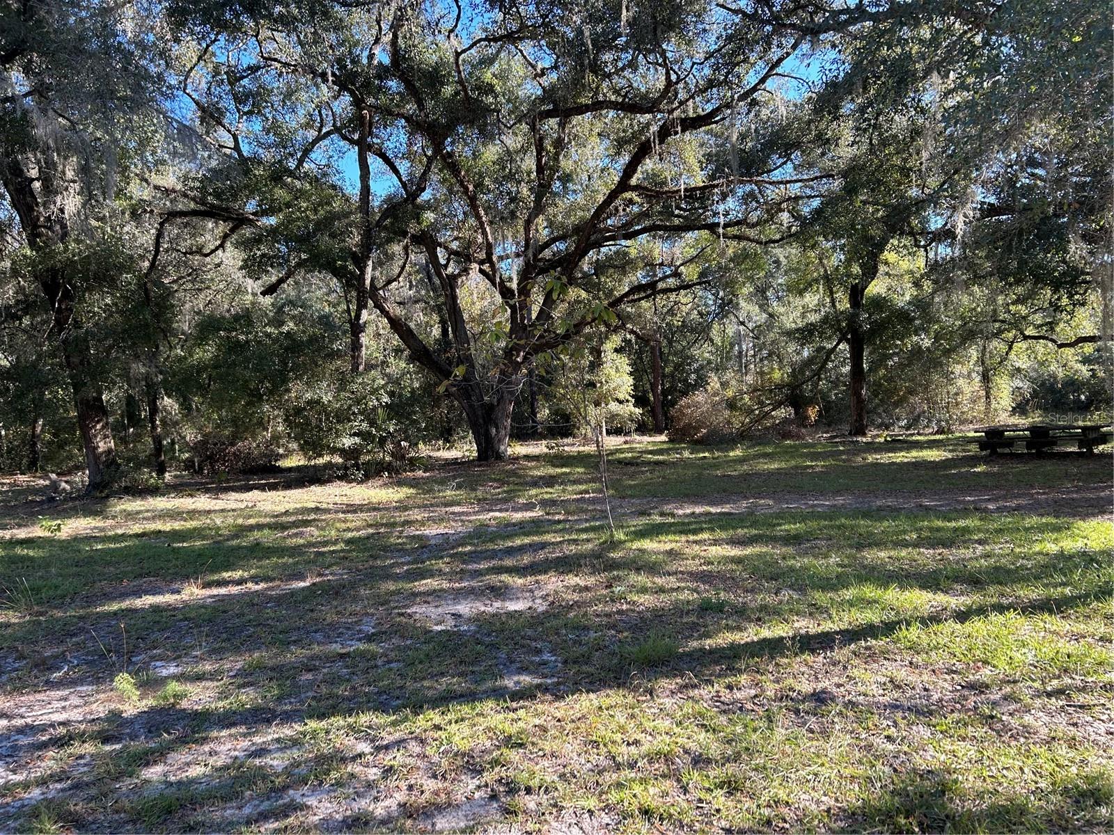 Image 4 of 17 For 12003 225th Drive