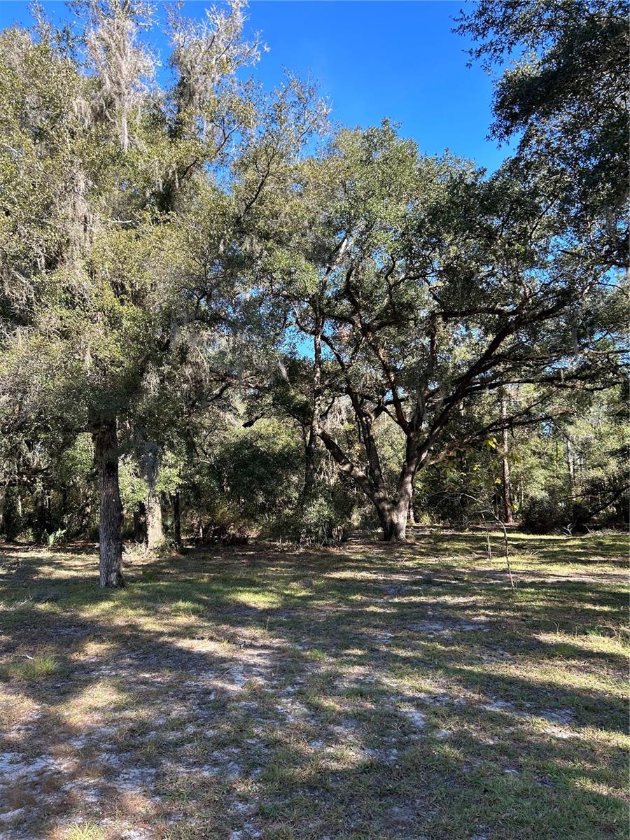 Image 5 of 17 For 12003 225th Drive