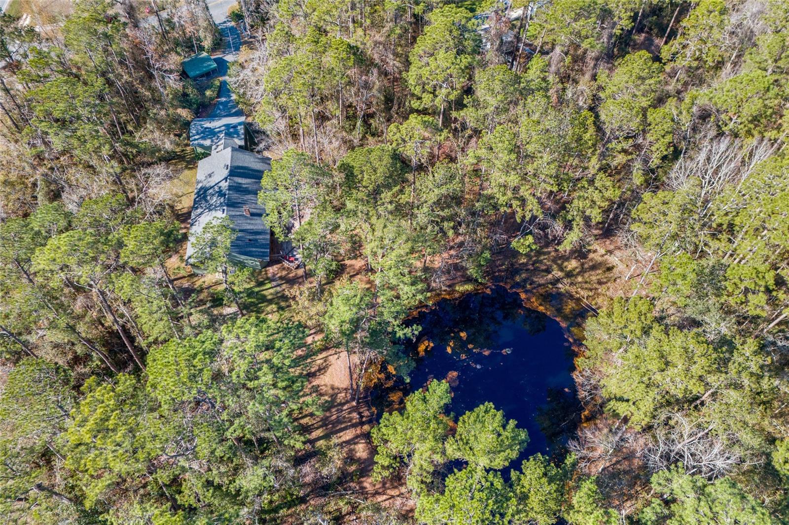 Image 6 of 38 For 1921 Tomoka Terrace