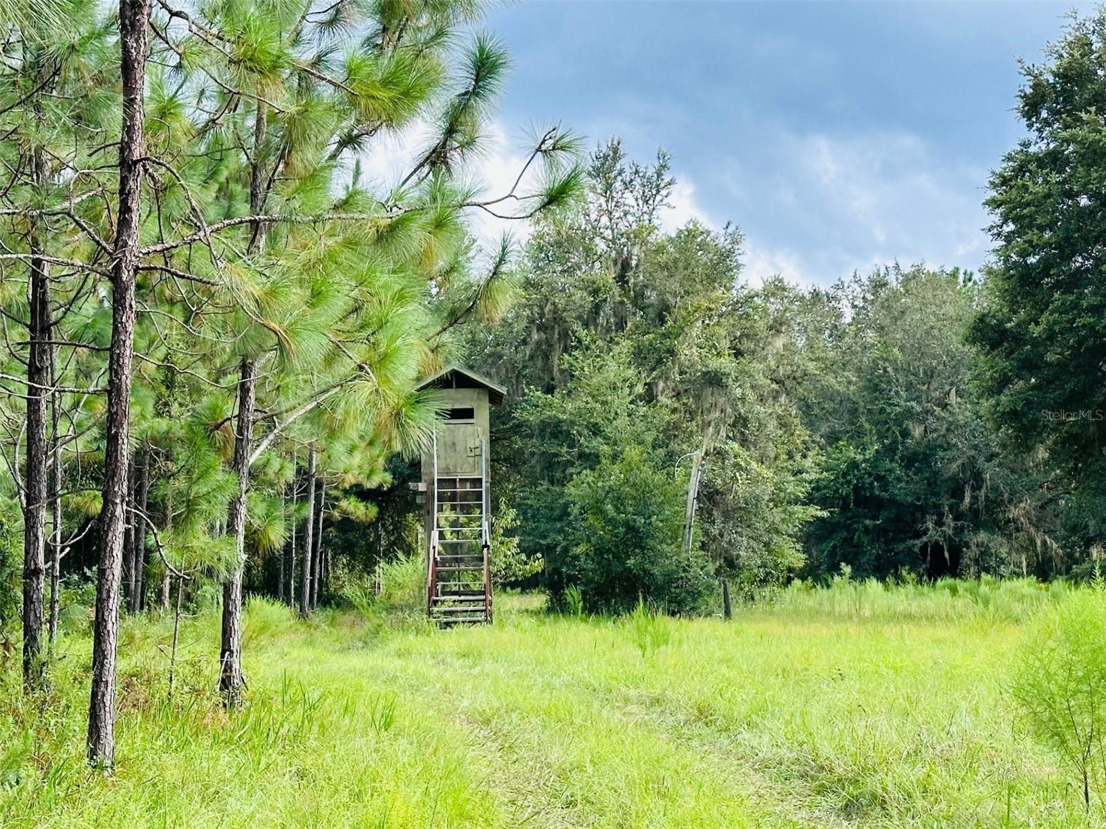 Image 8 of 16 For 10579 County Road 337