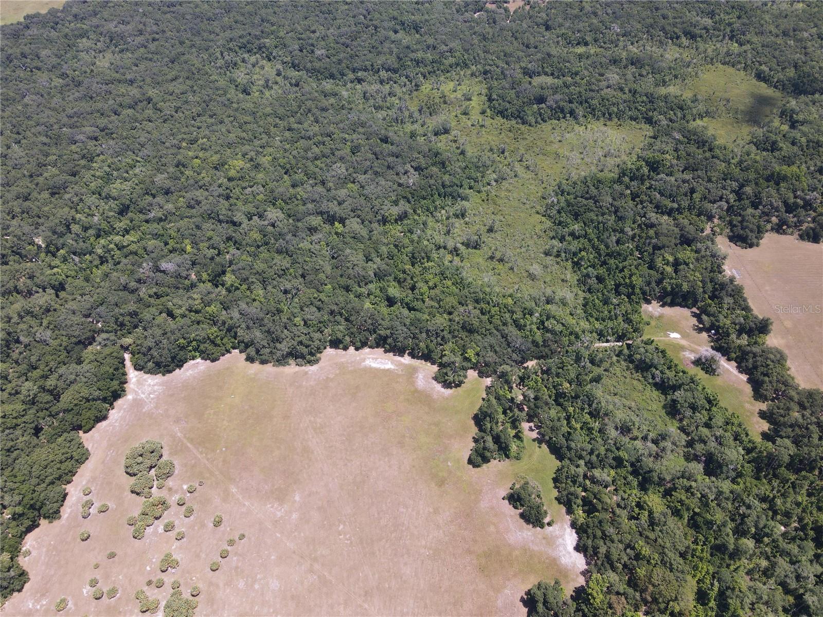 Image 82 of 90 For 11810 County Road 234