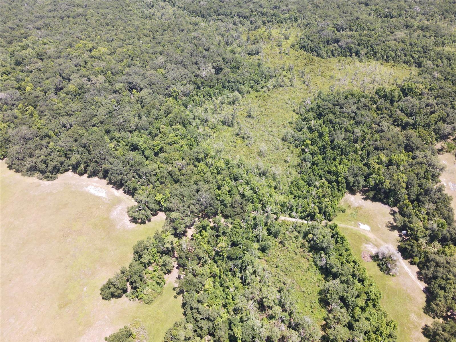 Image 83 of 90 For 11810 County Road 234