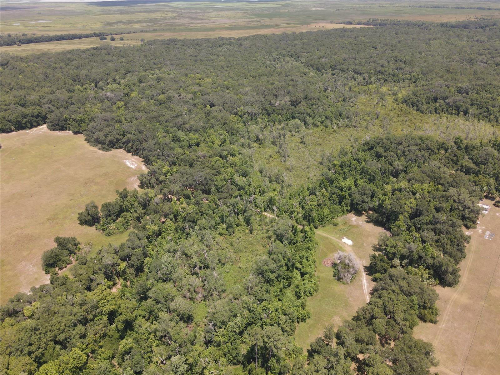 Image 86 of 90 For 11810 County Road 234