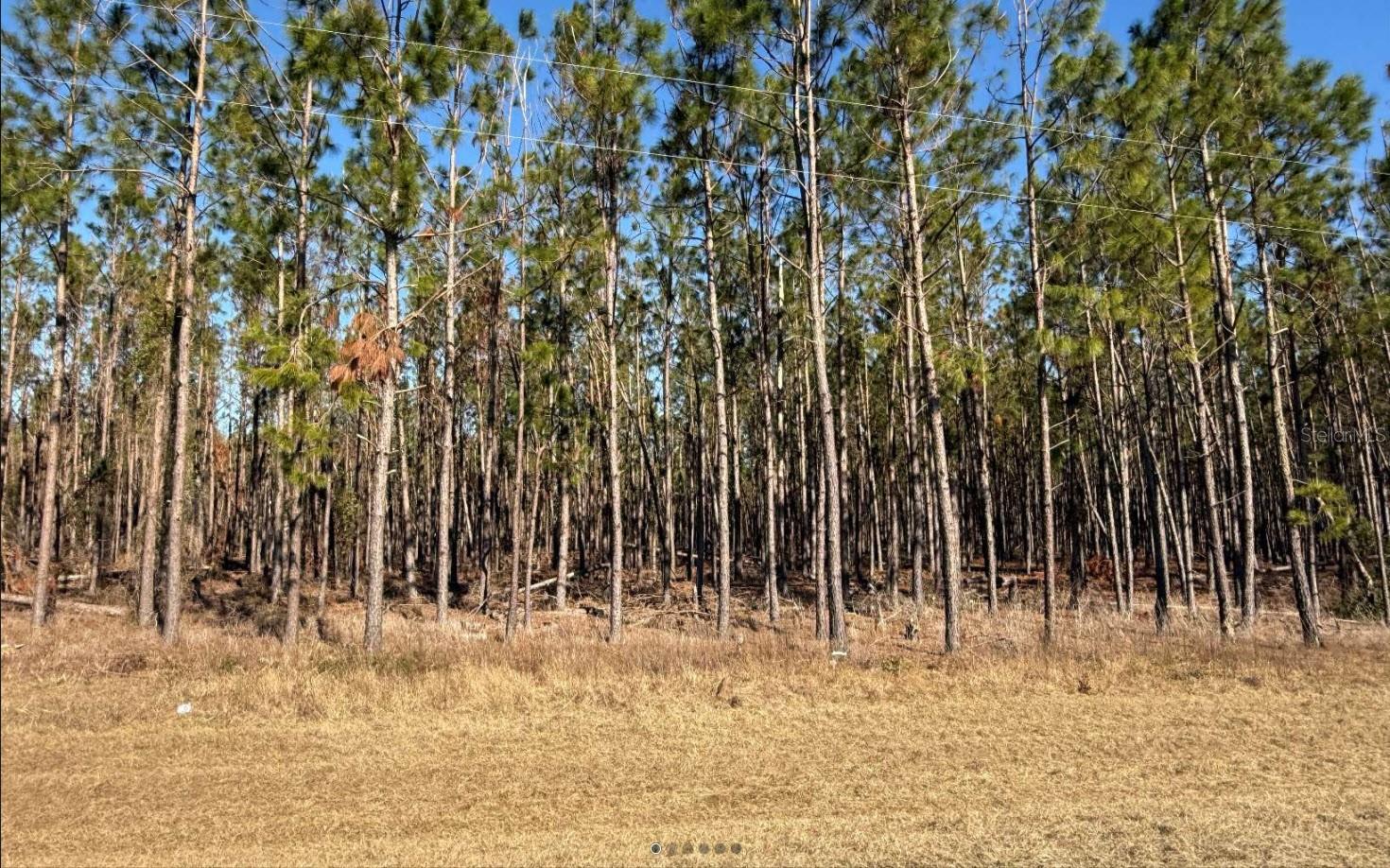 Details for County Road 251, MAYO, FL 32066