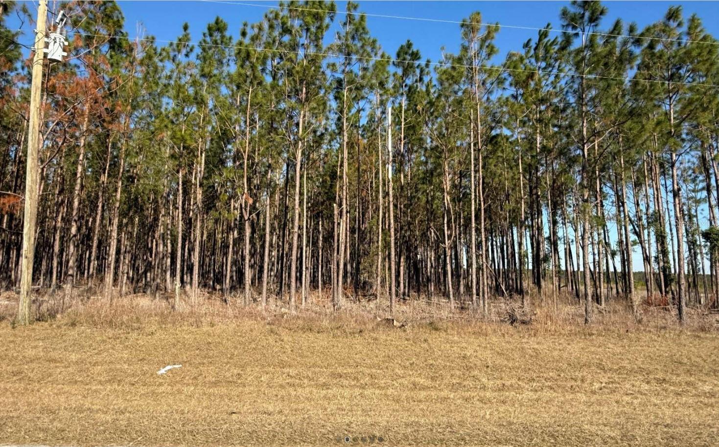 Image 2 of 6 For County Road 251