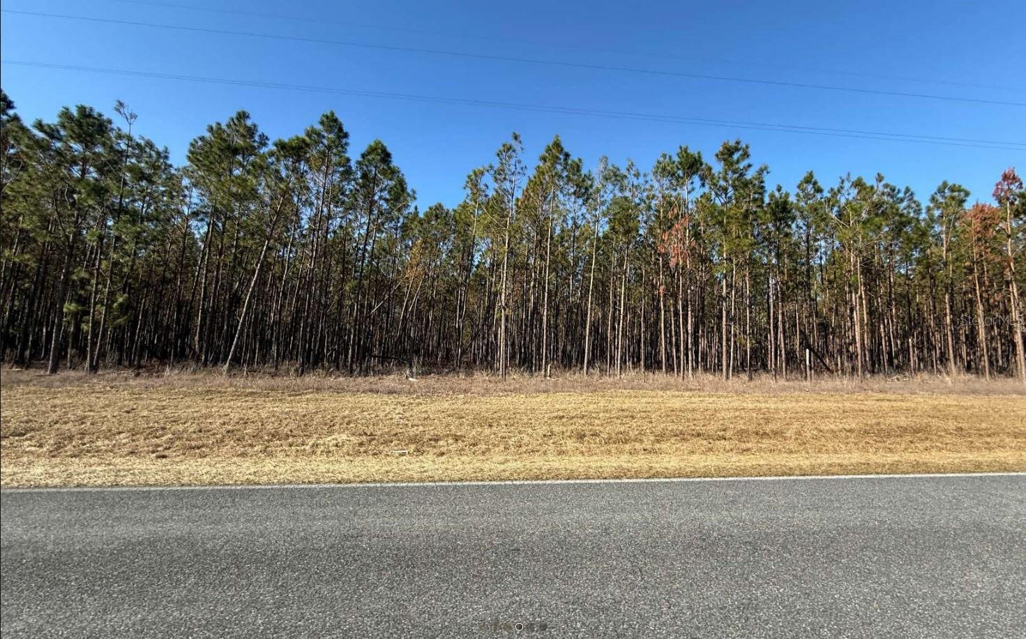 Image 4 of 6 For County Road 251
