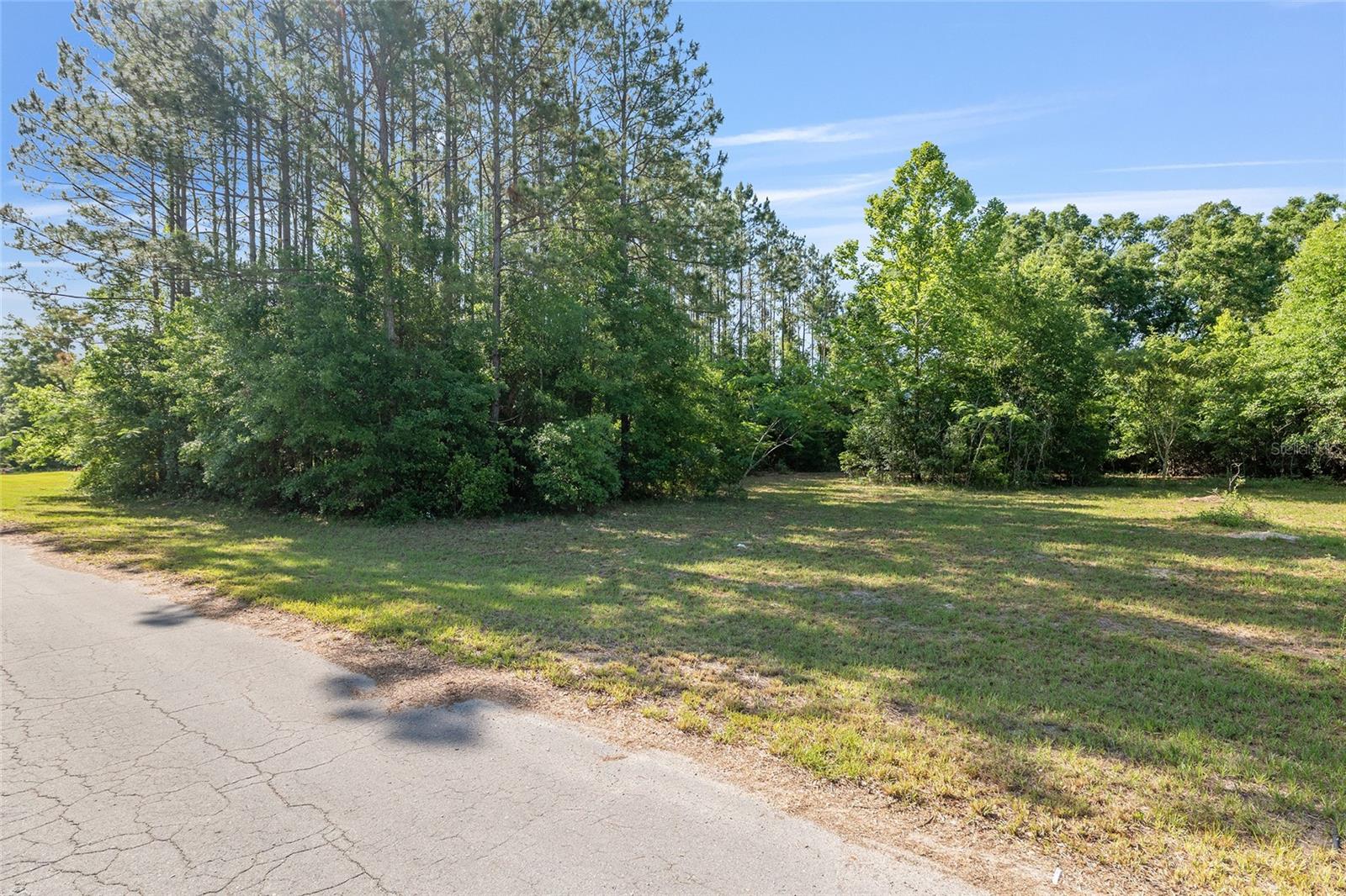 Details for 0 173rd Street, TRENTON, FL 32693