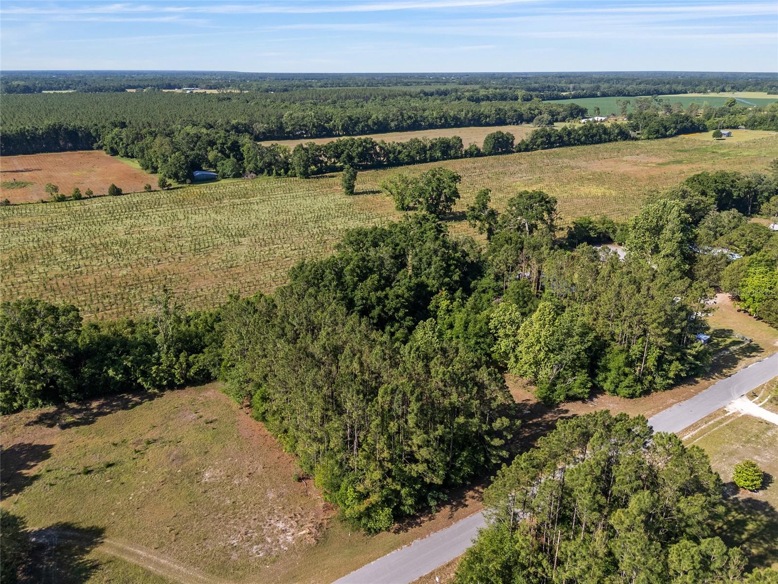 Image 11 of 35 For 0 173rd Street