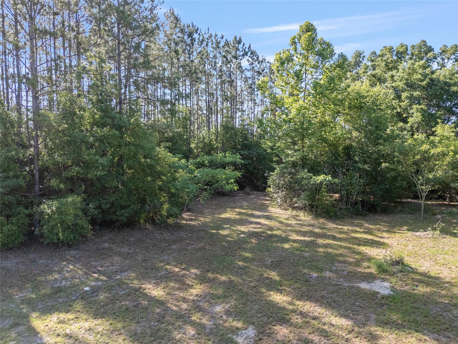 Image 19 of 35 For 0 173rd Street