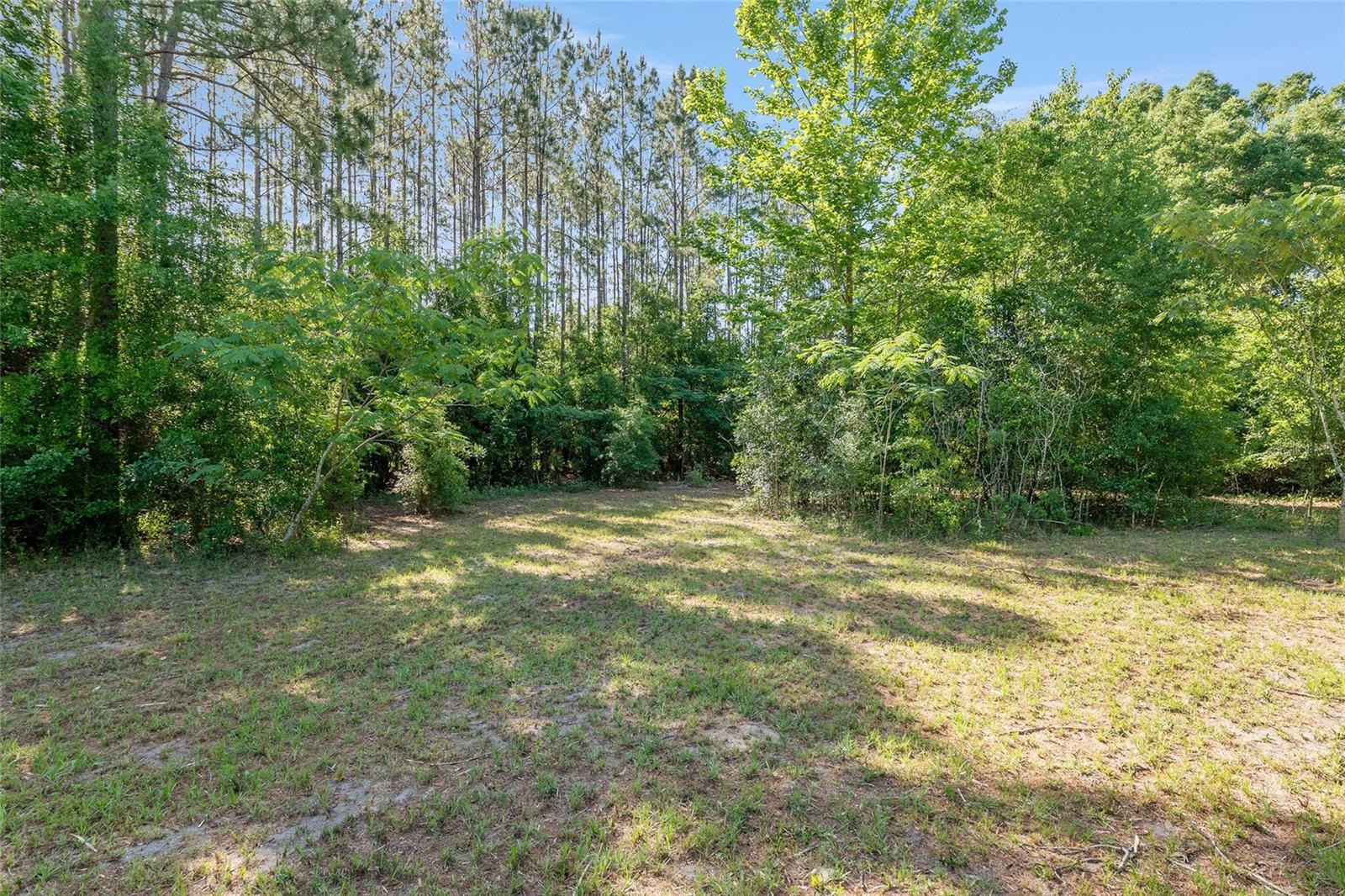 Image 4 of 35 For 0 173rd Street