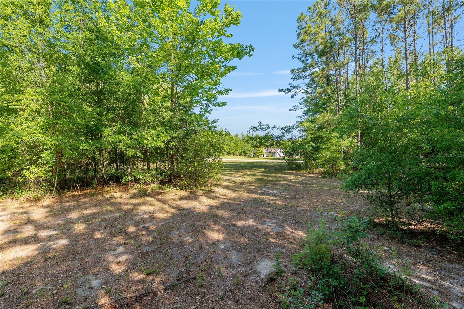 Image 7 of 35 For 0 173rd Street