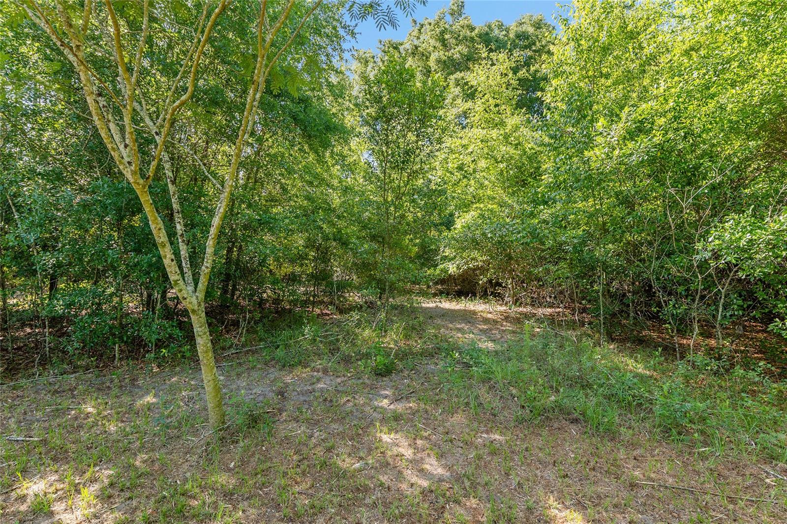 Image 8 of 35 For 0 173rd Street