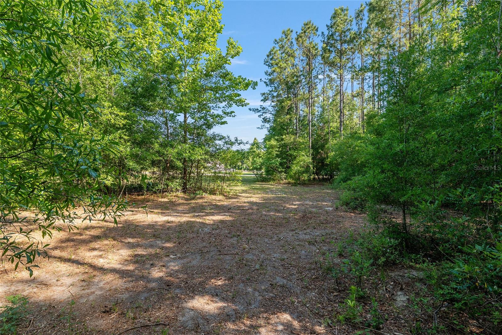 Image 9 of 35 For 0 173rd Street