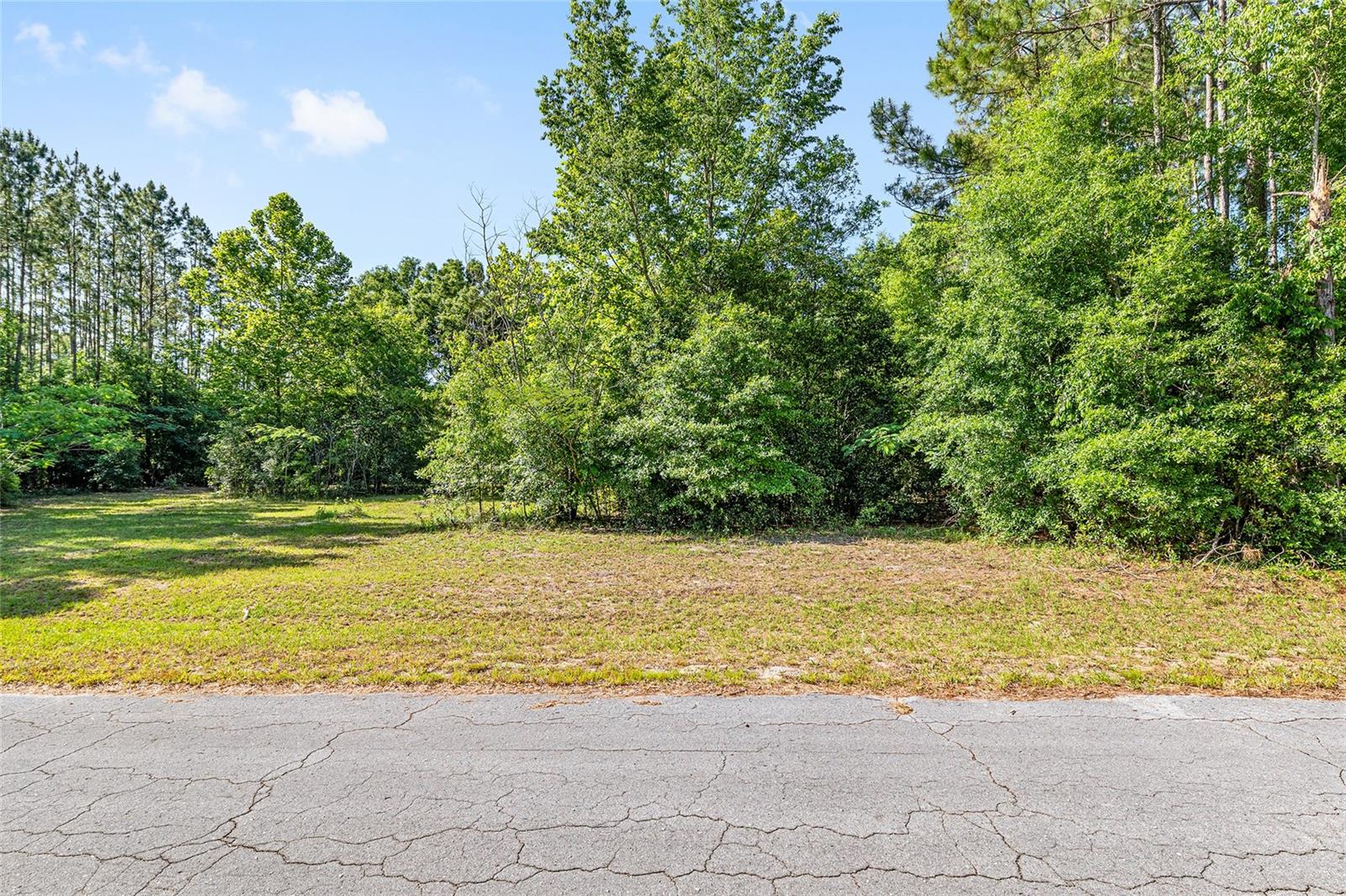 Details for 0 173rd Street, TRENTON, FL 32693