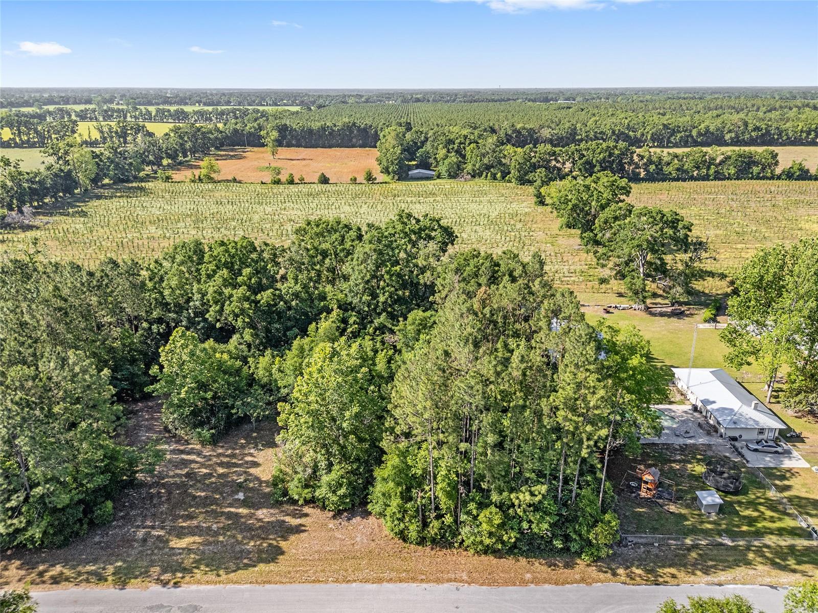 Image 15 of 32 For 0 173rd Street
