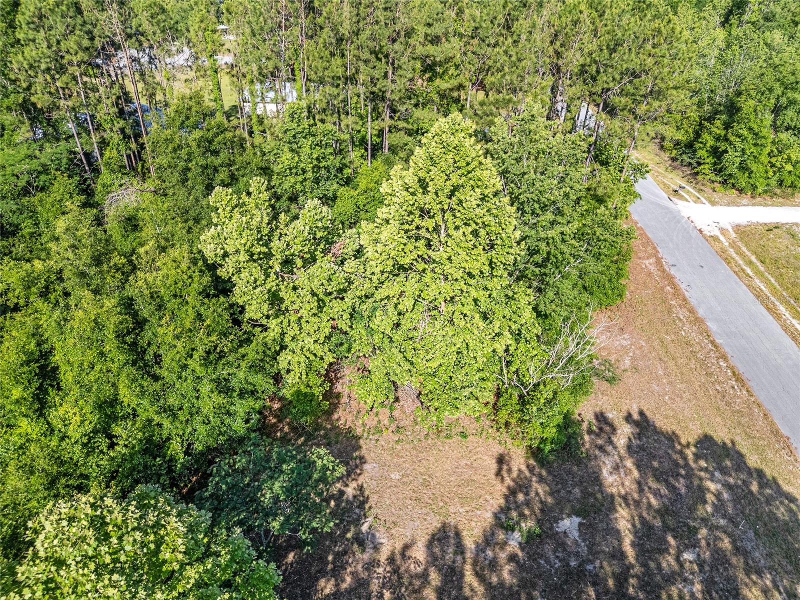 Image 21 of 32 For 0 173rd Street