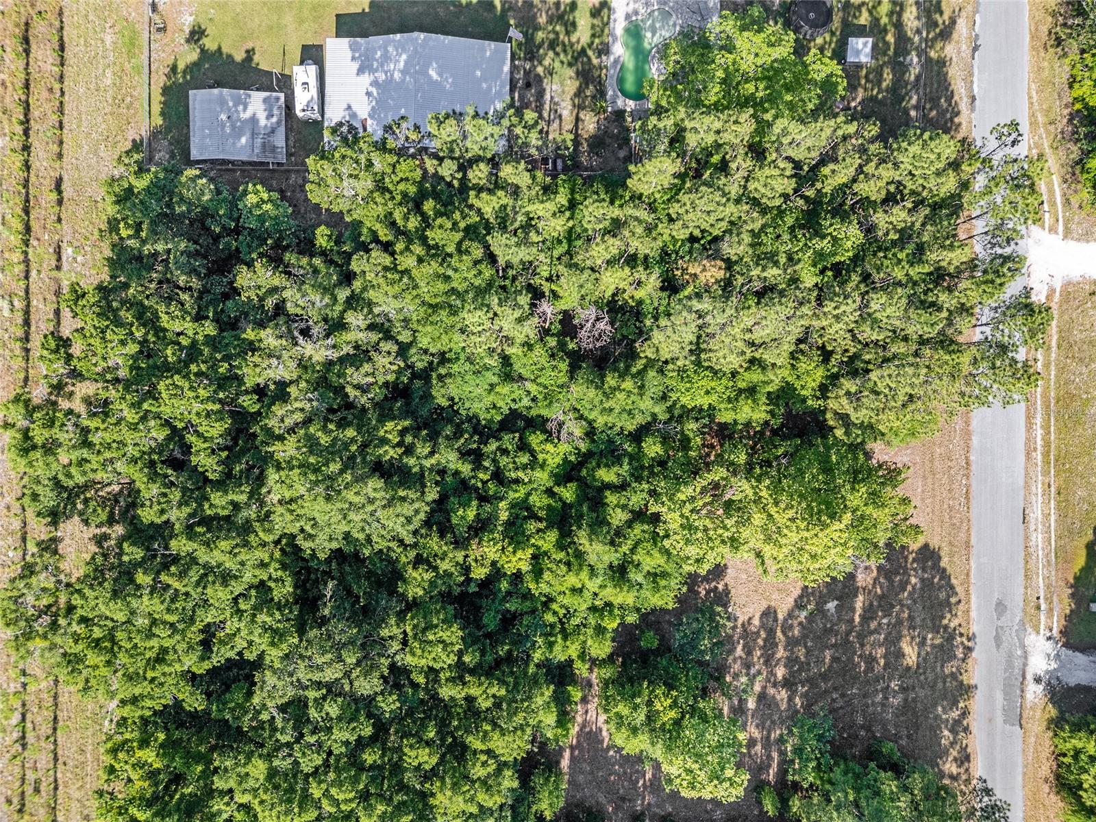 Image 22 of 32 For 0 173rd Street