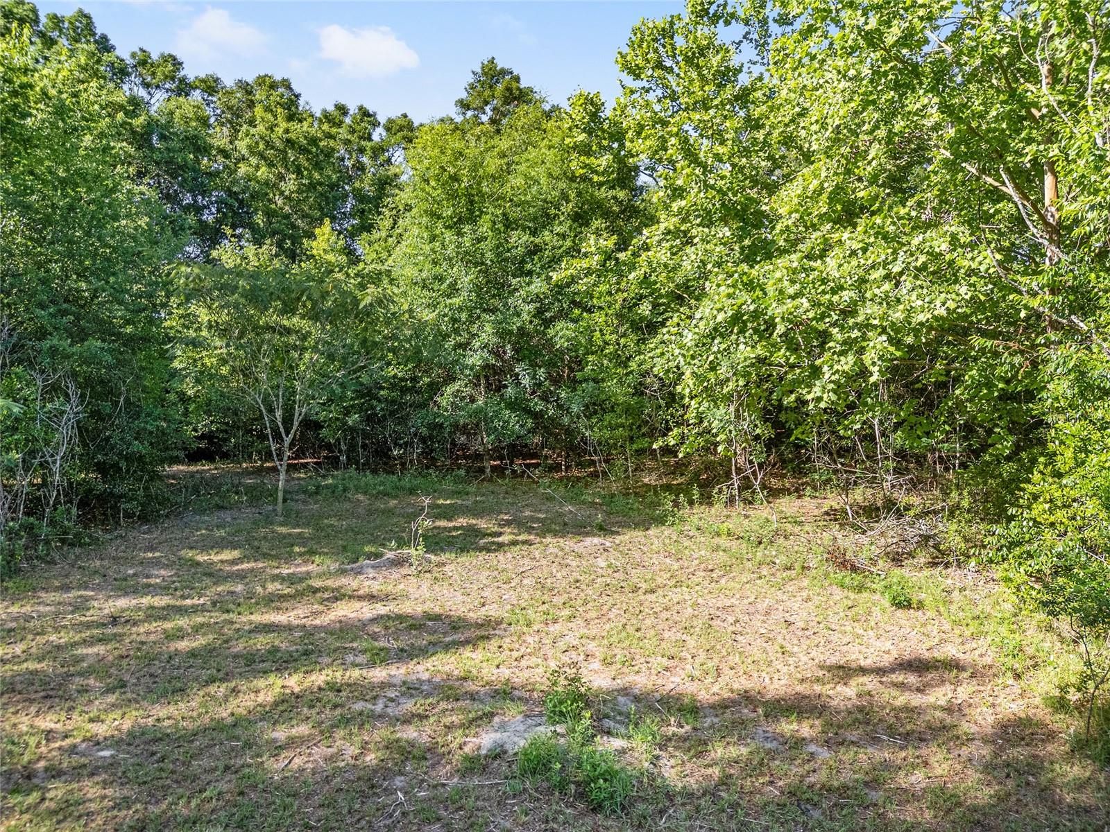 Image 8 of 32 For 0 173rd Street
