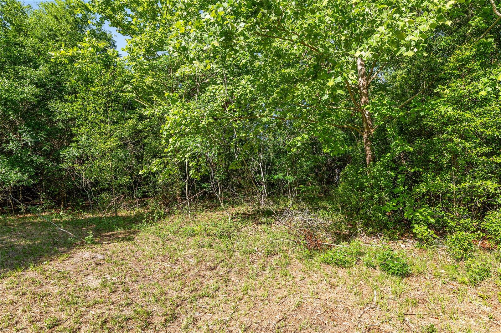 Image 9 of 32 For 0 173rd Street