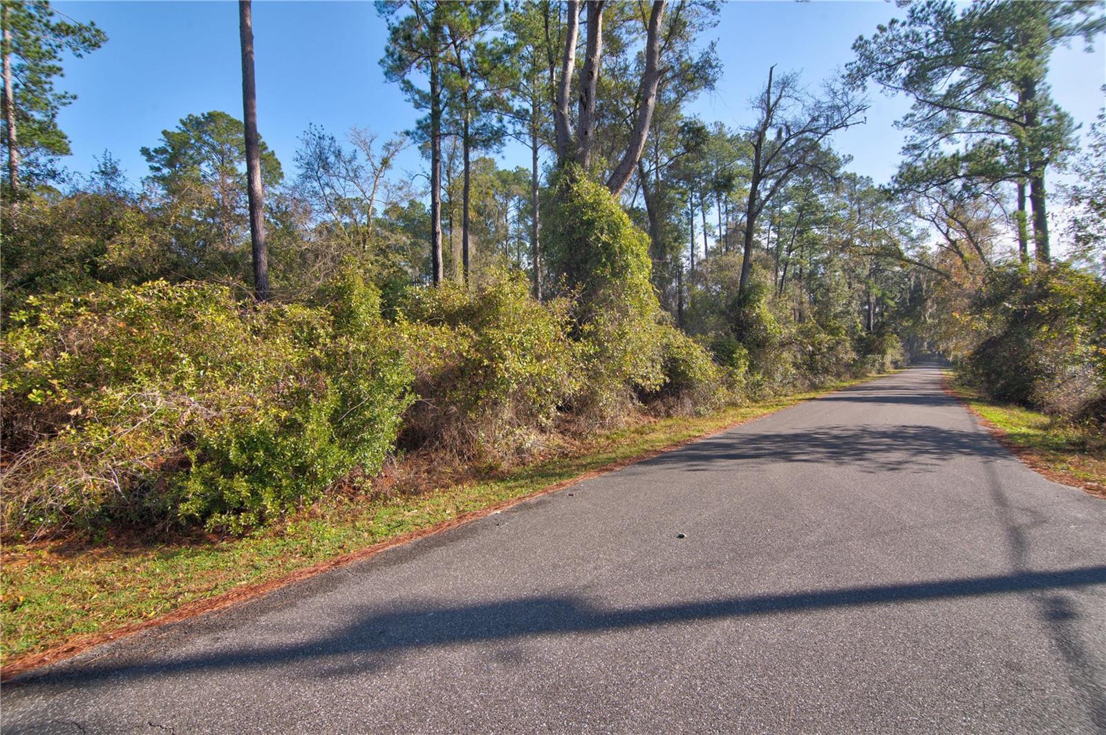 Image 46 of 49 For 21179 115th Place