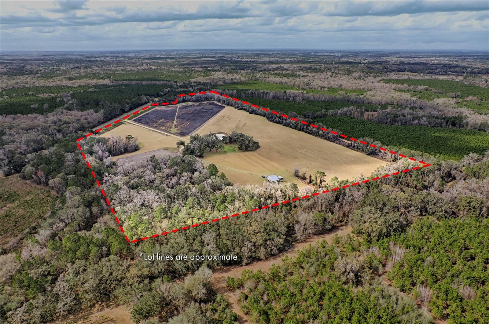 Details for 19019 Sr 121, GAINESVILLE, FL 32653
