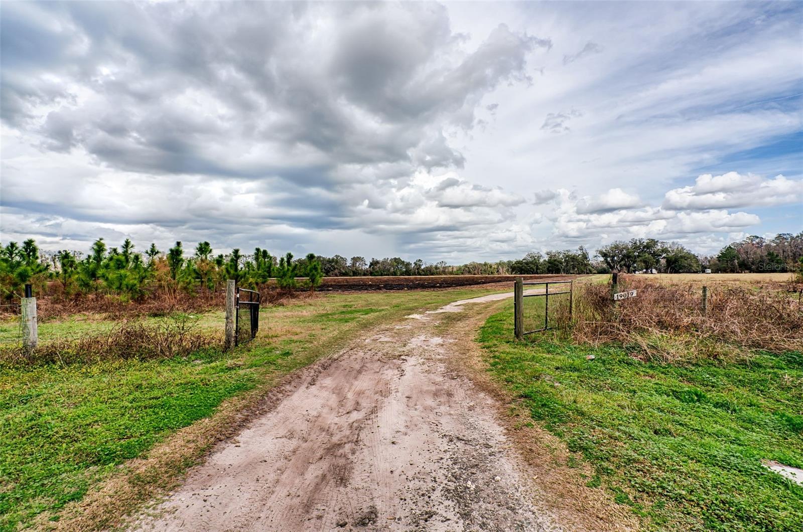 Image 39 of 61 For 19019 Sr 121