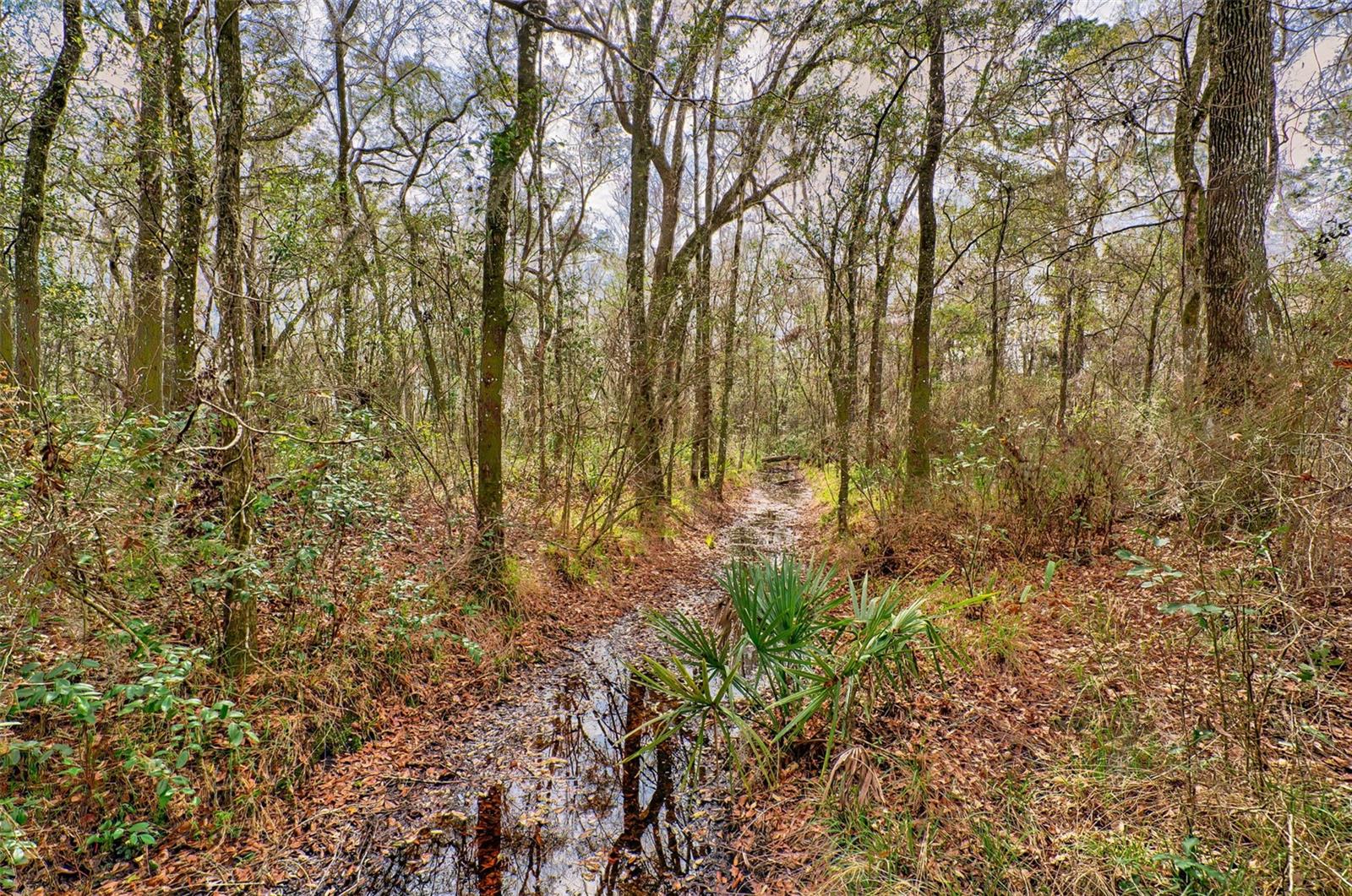 Image 40 of 61 For 19019 Sr 121
