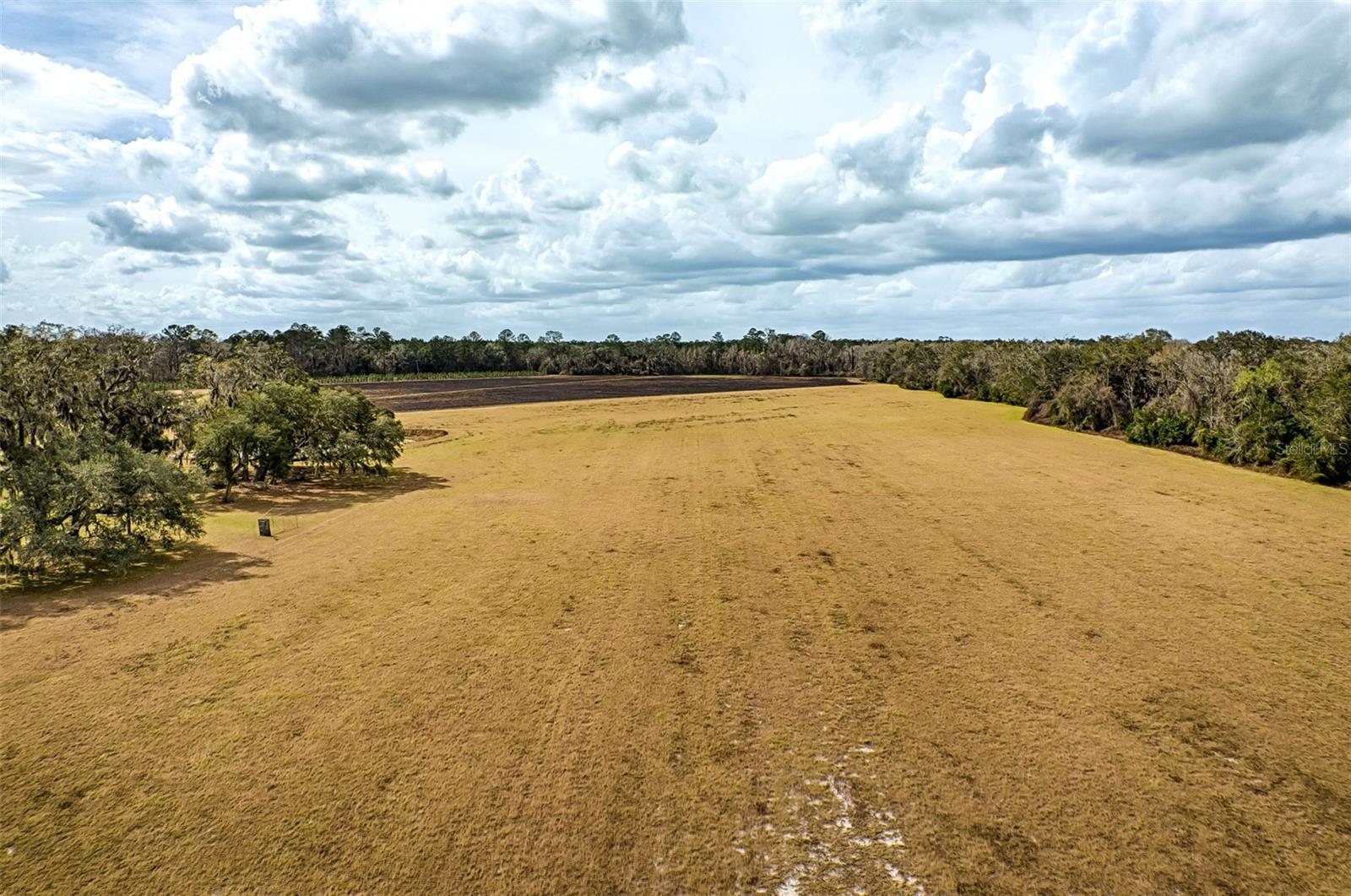 Image 44 of 61 For 19019 Sr 121