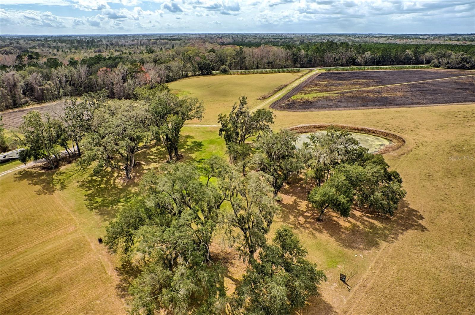 Image 45 of 61 For 19019 Sr 121