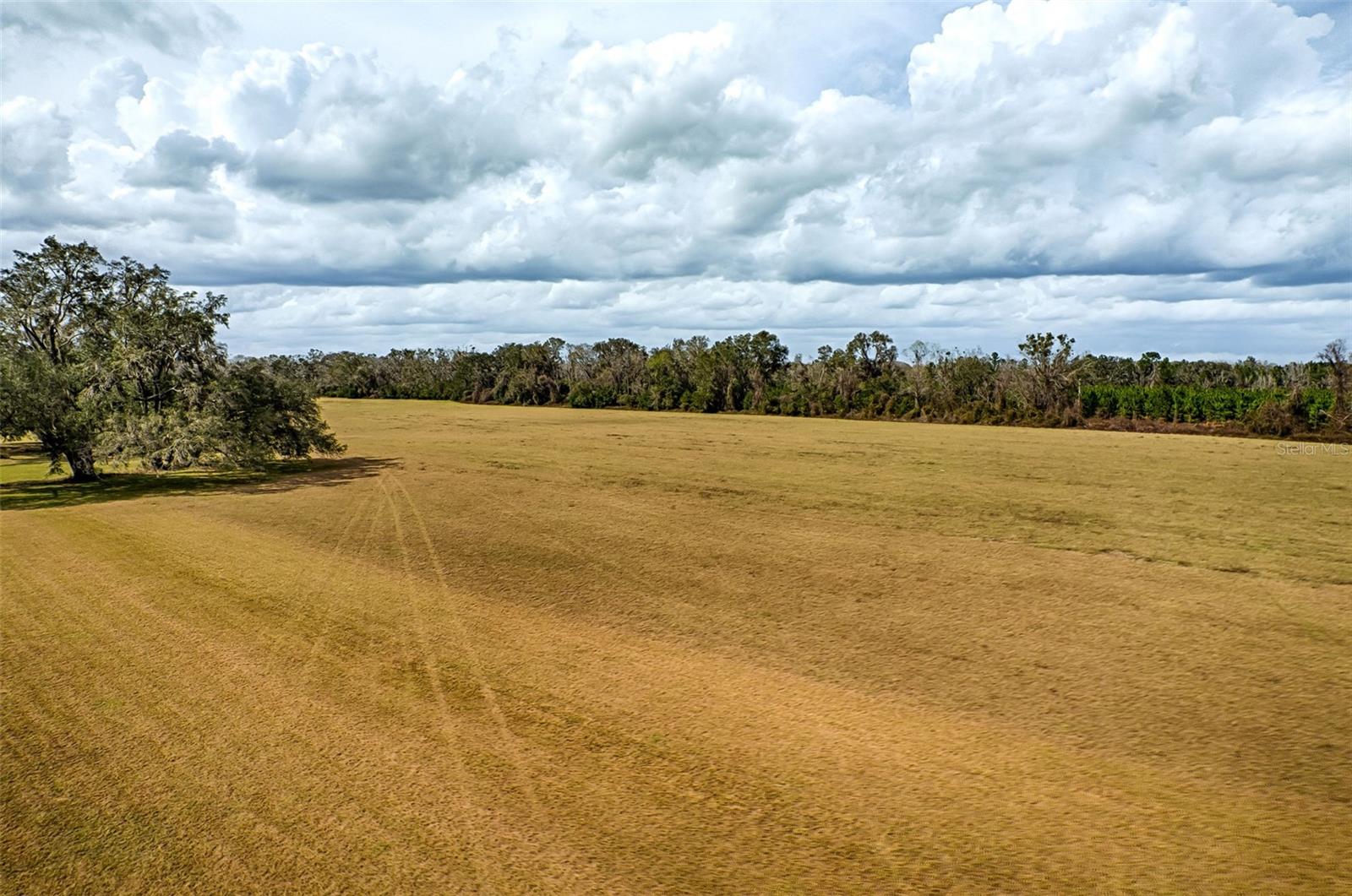 Image 5 of 61 For 19019 Sr 121