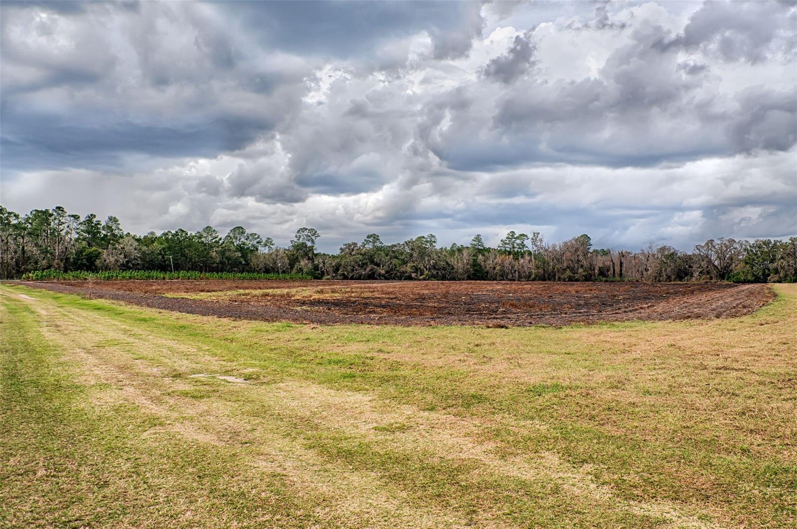 Image 8 of 61 For 19019 Sr 121