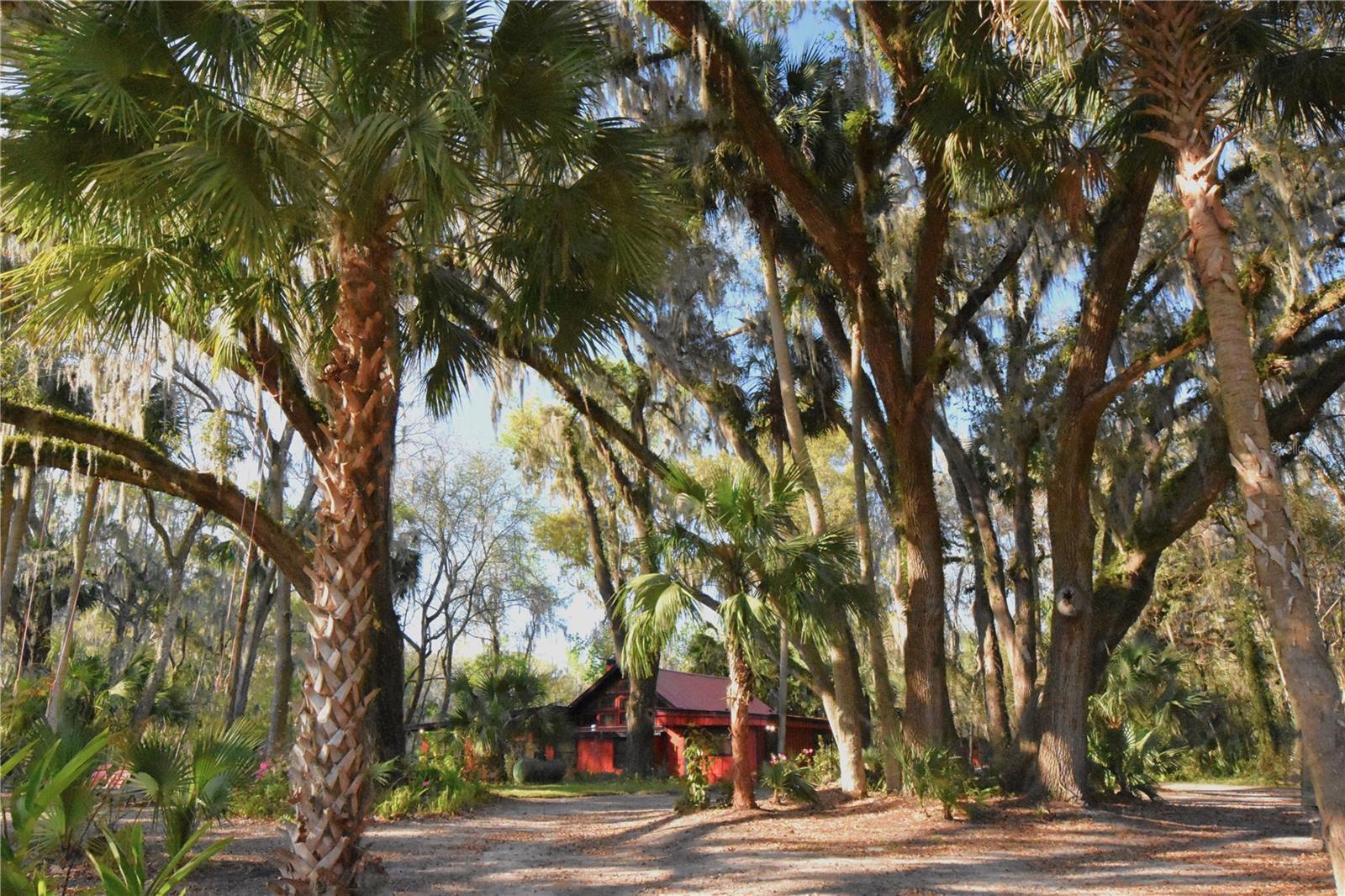 Image 3 of 67 For 1302 Wacahoota Road