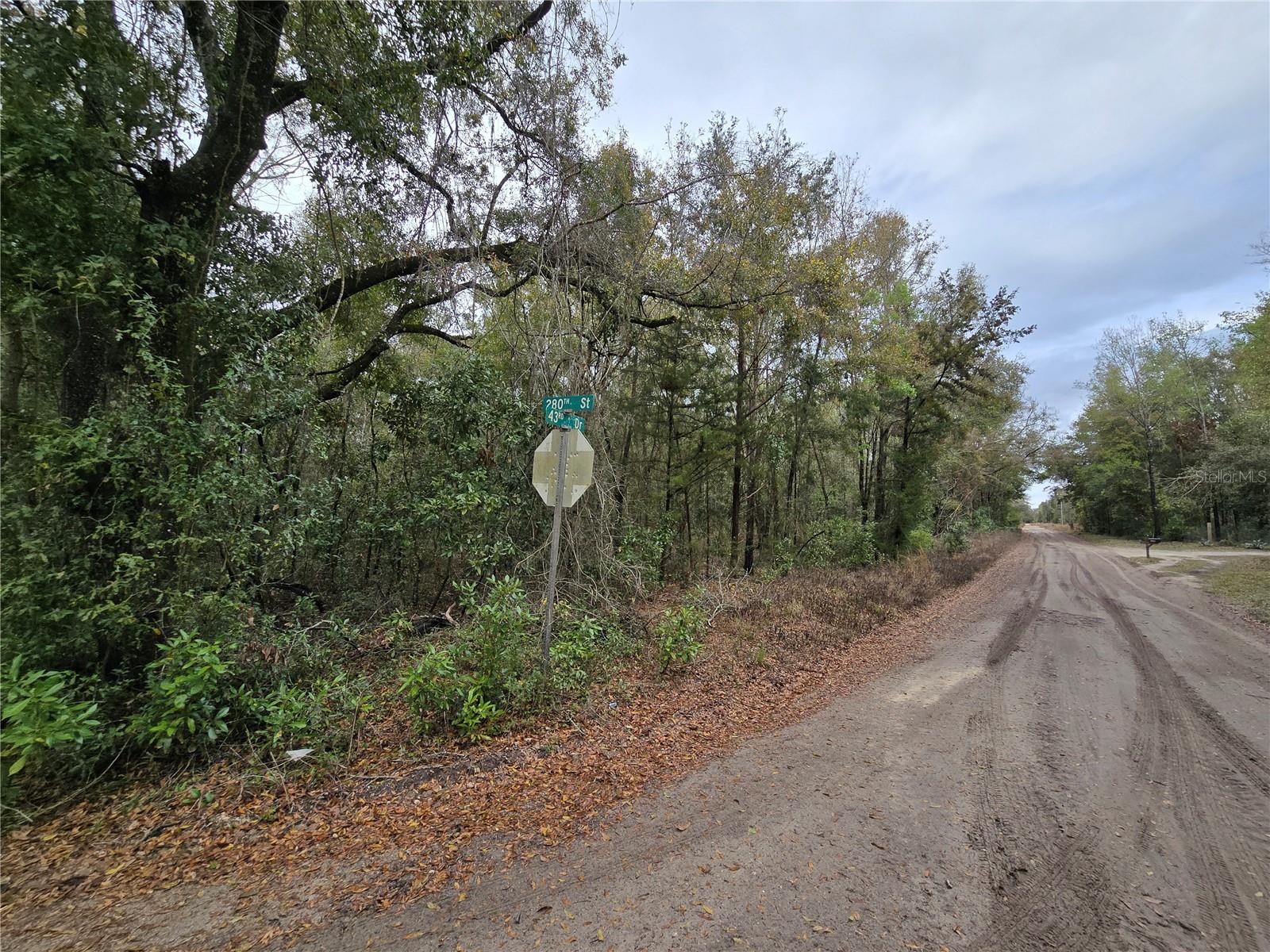 Details for  243 Drive , BRANFORD, FL 32008