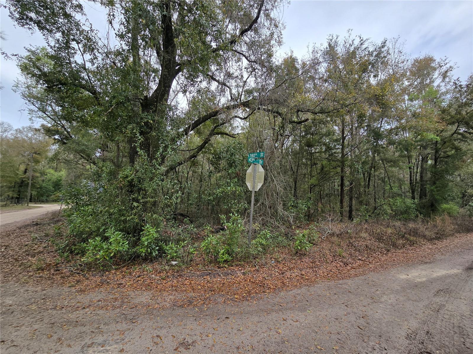 Image 4 of 14 For  243 Drive 