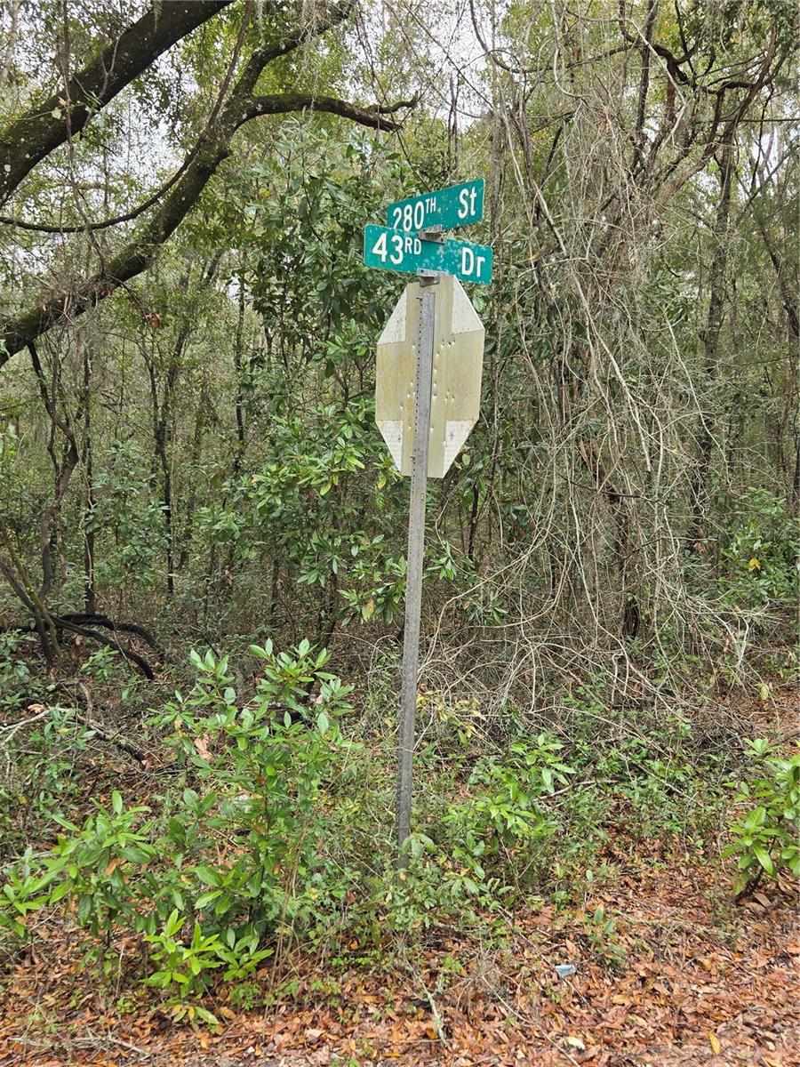 Image 5 of 14 For  243 Drive 